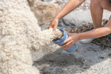 PHO_IMAGE_DOG_Goldendoodle-Ole-Pfoten-reinigen-Pfotenreiniger-1