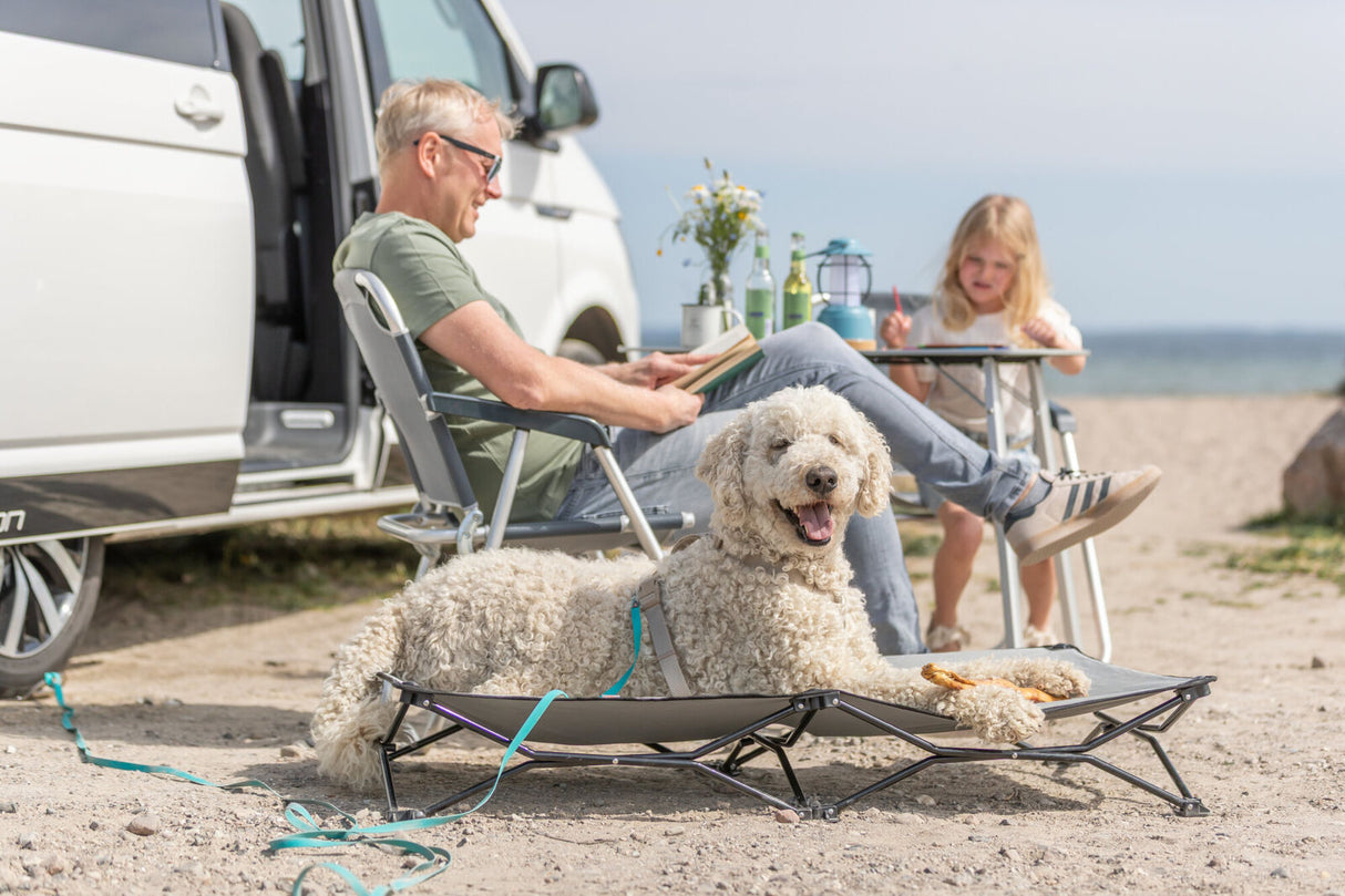 Mann und Kind sitzen neben Hund auf Hundebett vor einem weißen Camper am Strand.