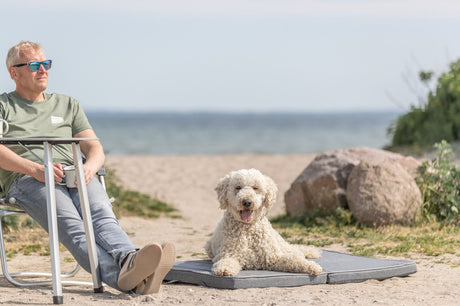 Ein Mann sitzt auf einem Stuhl am Strand, daneben ein liegender Hund auf einer Matte.