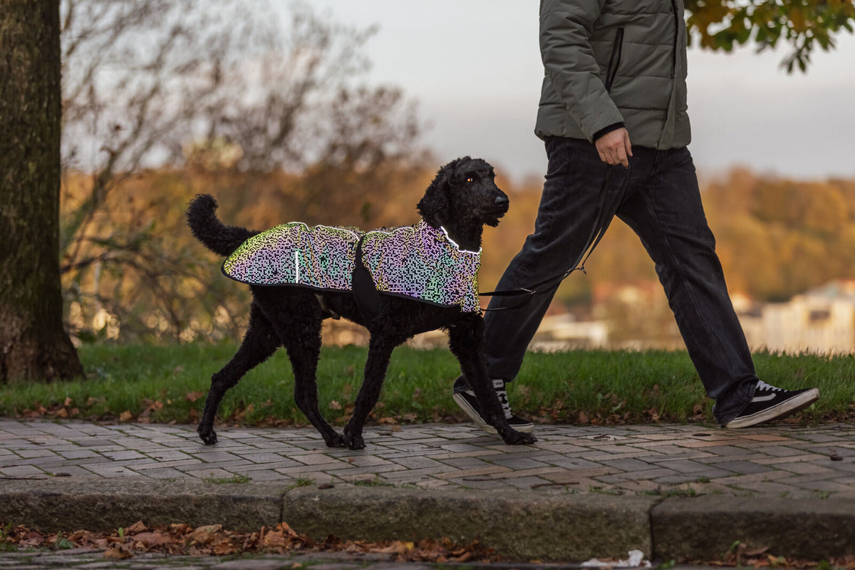 Schwarzer Hund mit reflektierender Jacke läuft neben einer Person auf dem Gehweg.