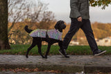 Schwarzer Hund mit reflektierender Jacke läuft neben einer Person auf dem Gehweg.