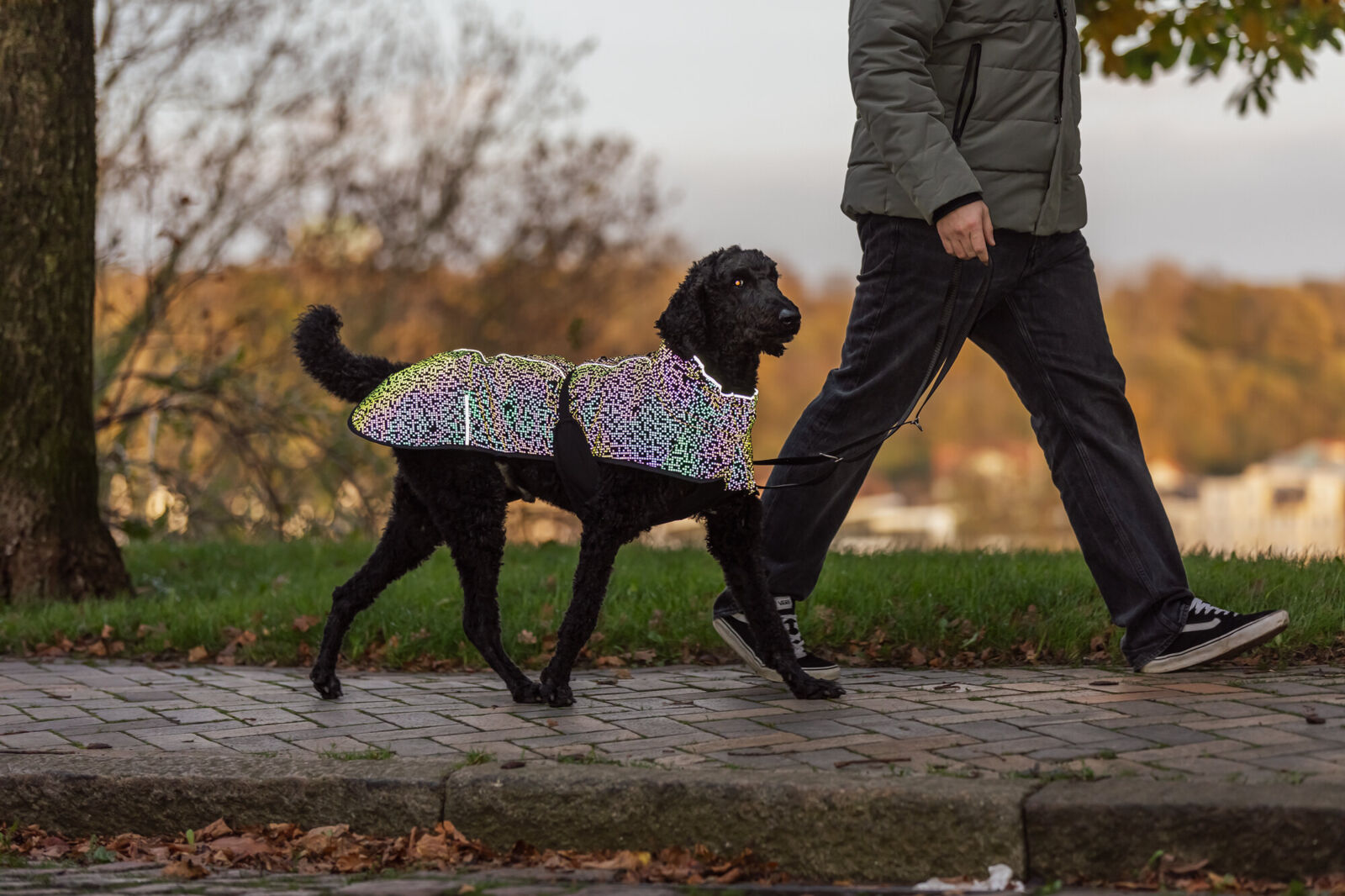 Schwarzer Hund mit reflektierender Jacke läuft neben einer Person auf dem Gehweg.