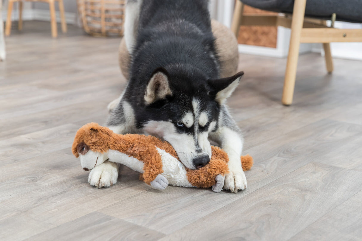 Hund liegt auf dem Boden und spielt mit einem Plüschspielzeug.