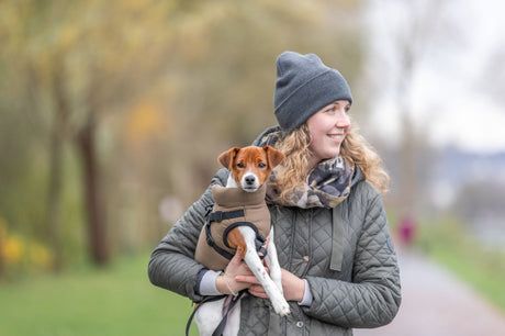 Eine Person trägt einen kleinen Hund in einer braunen Jacke im Freien.