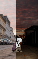 Geschirr-Wintermantel Pontis Reflect