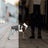 Hund mit reflektierender Jacke steht an der Leine neben einer Person auf einer Straße bei Nacht.