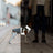 Hund mit reflektierender Jacke steht an der Leine neben einer Person auf einer Straße bei Nacht.