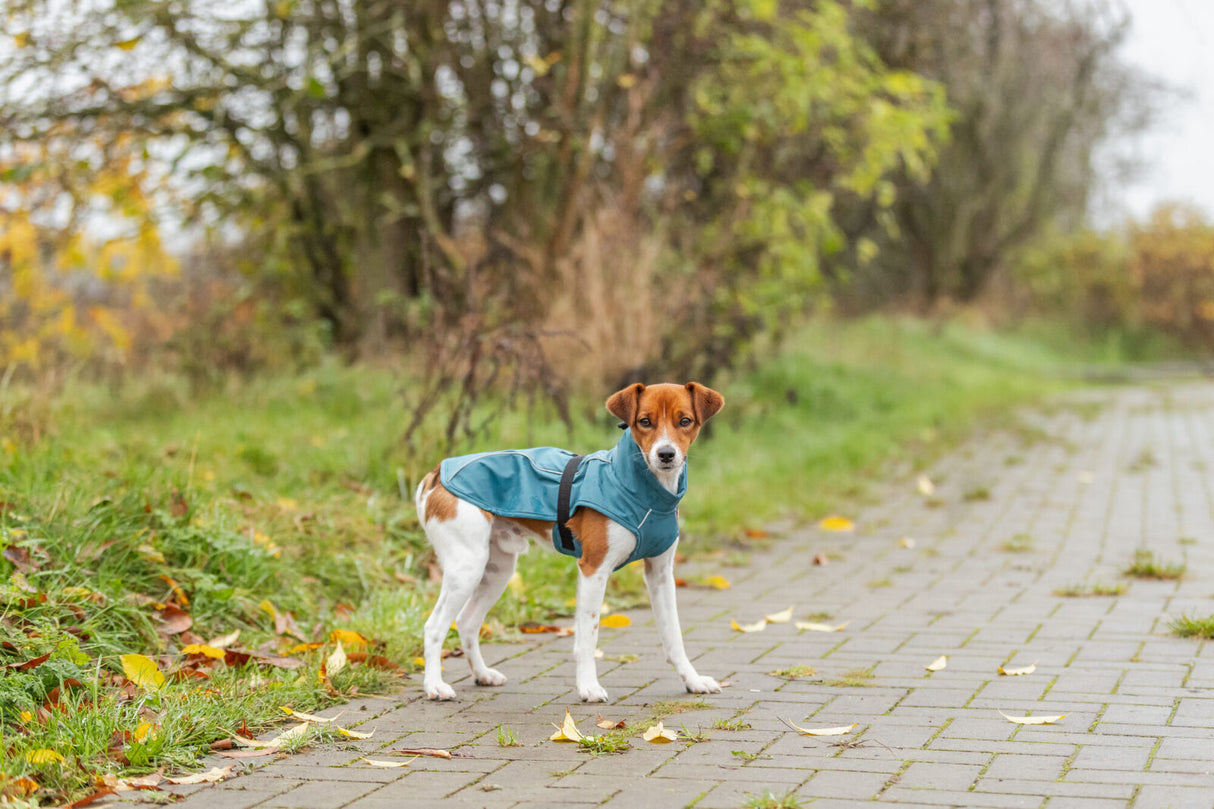 Regenmantel Vimy für Hunde