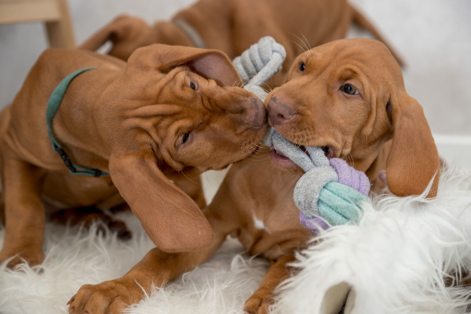 Junior Spieltau mit eingeflochtenem Ball