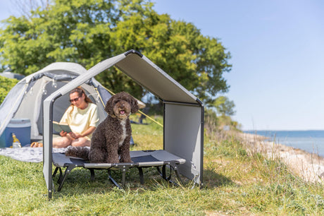 Ein brauner Hund sitzt in einem schattigen Hundebett vor einem Zelt am Strand.