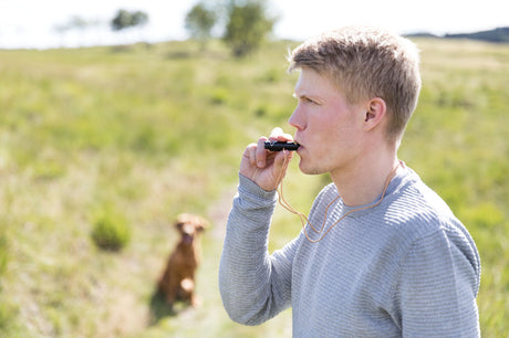 Eine Person im grauen Pullover bläst in eine Pfeife, im Hintergrund sitzt ein brauner Hund auf einer Wiese.