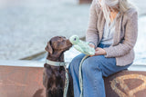 Ein brauner Hund sitzt neben einer Person und beschnuppert ein grünes Plüschspielzeug.
