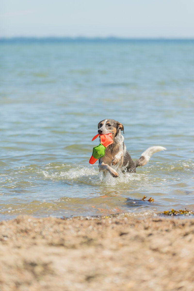 Ente Hundespielzeug
