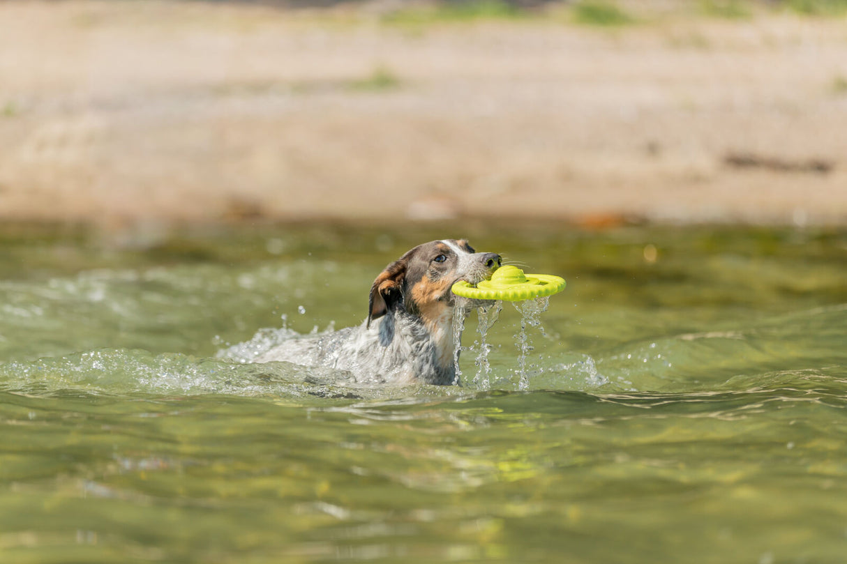 Aqua Toy Disc