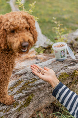 Trainer Snack Bones
