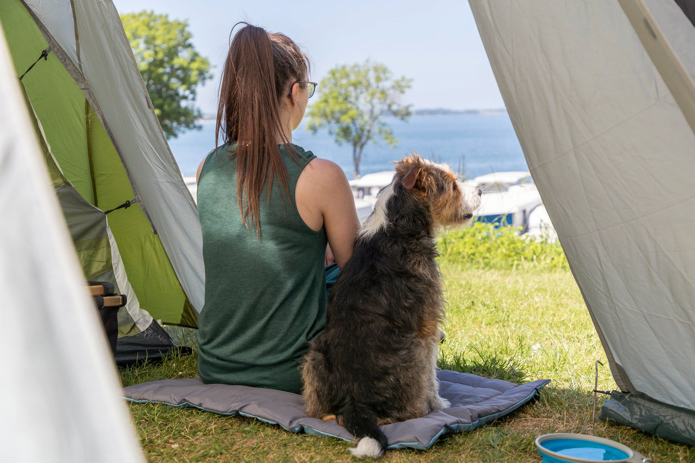 Frau und strubbeliger Hund sitzen auf Hundedecke auf dem Boden im Gras. Ein Zelt schützt sie vor Sonne. Sie sind beide mit dem Rücken zugewant und schauen auf das Meer. Im Hintergrund sieht man einen Campingplatz.