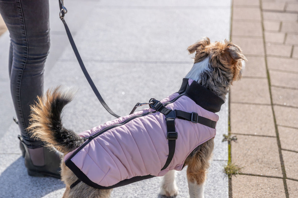 Geschirr-Mantel Pontis