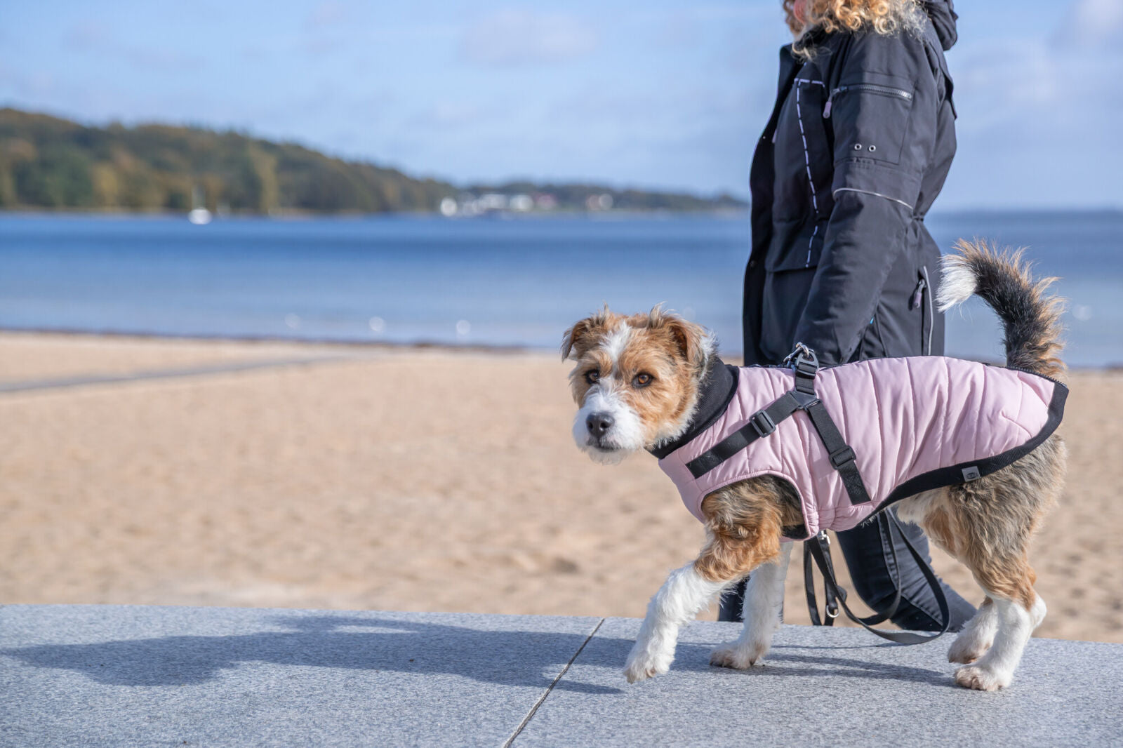 Geschirr-Mantel Pontis
