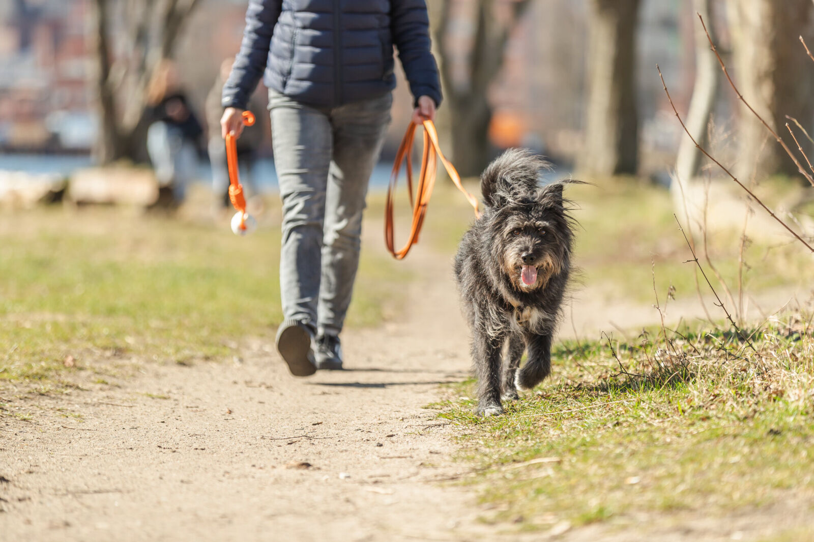 Eine Person führt einen schwarzen Hund an der Leine auf einem Spaziergang über einen Weg im Freien.