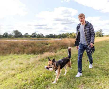 Ein Hund mit Spielzeug im Maul läuft neben einer Person über eine Wiese.