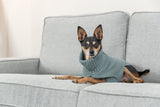 Kleiner Hund in grauem Strickpullover liegt auf hellgrauem Sofa.