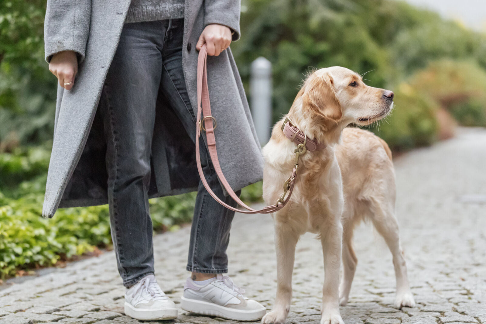 Person führt einen hellbraunen Hund an einer Leine auf einem gepflasterten Weg.