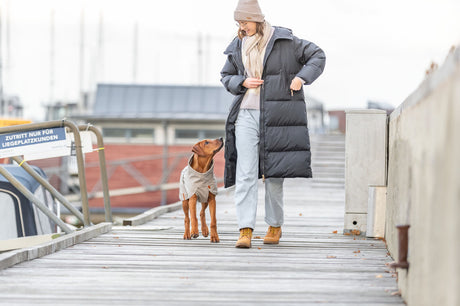 Eine Person geht mit einem Hund im Mantel über einen Holzsteg an einem Hafen.