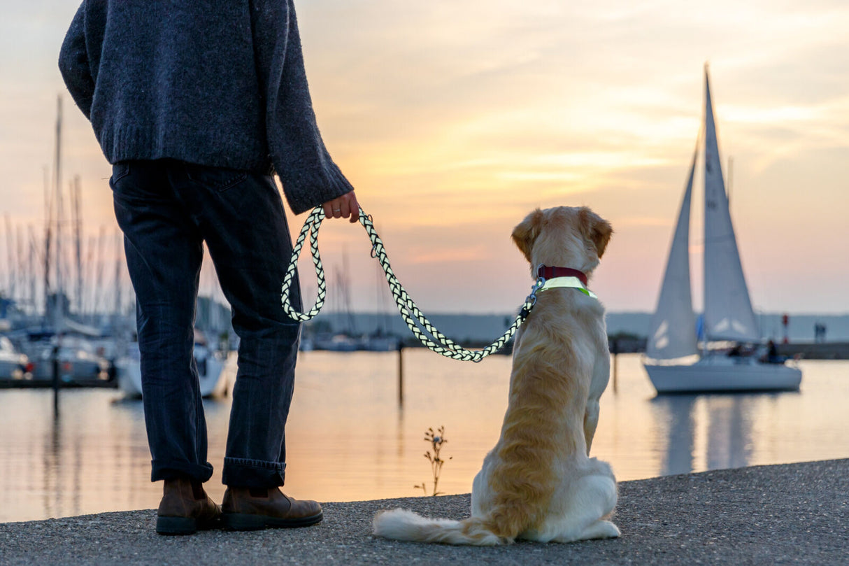 Cavo Reflect Verlängerungsleine