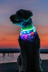 Flash Leuchtring USB