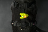 Flasher für Hunde