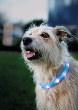 Flash Leuchtband USB, extra breit