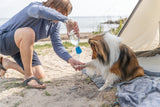 PHO_IMAGE_DOG_Sheltie-Merlot-Pfoten-sauber-Hundedusche-1