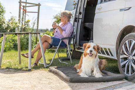 Hund liegt auf Matte neben Campervan, während Person auf Campingstuhl sitzt.