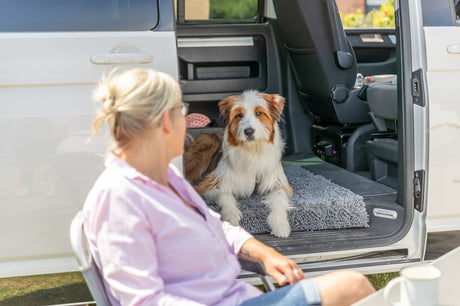 Hund liegt auf grauem Teppich im geöffneten Kofferraum eines Autos neben einer sitzenden Frau.