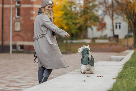 Eine Frau mit grauem Mantel spielt mit einem kleinen Hund in grüner Jacke auf einem Gehweg.