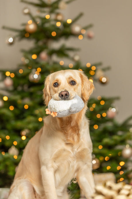 Hund hält Stoffspielzeug im Maul vor einem geschmückten Weihnachtsbaum.