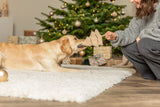 Weihnachtsbaum mit Tau