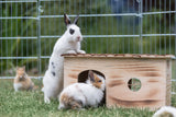 Zwei Kaninchen, eines daneben und eines davor, mit einem Holzhäuschen im Freigehege.