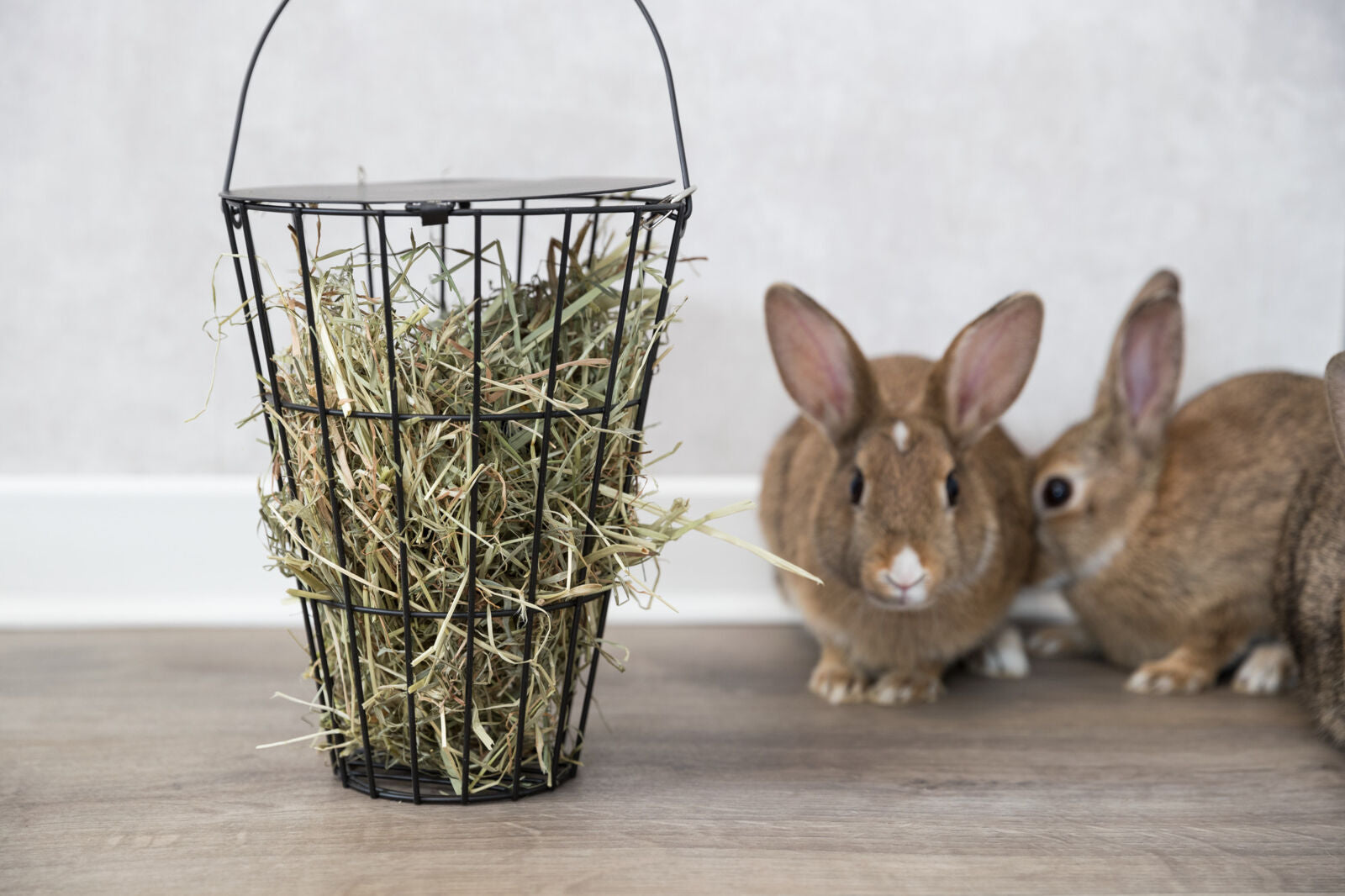 Heuraufe zum Einhängen
