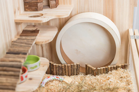 Holzartige Kleintierbehausung mit Treppen, Laufrad und Futternäpfen gefüllt mit Heu und Streu.