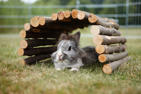 Ein Kaninchen liegt auf einer Wiese unter einem Dach aus Holzstücken.