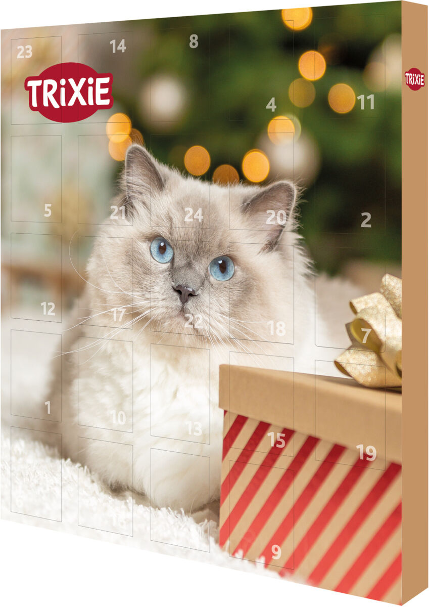 Adventskalender für Katzen
