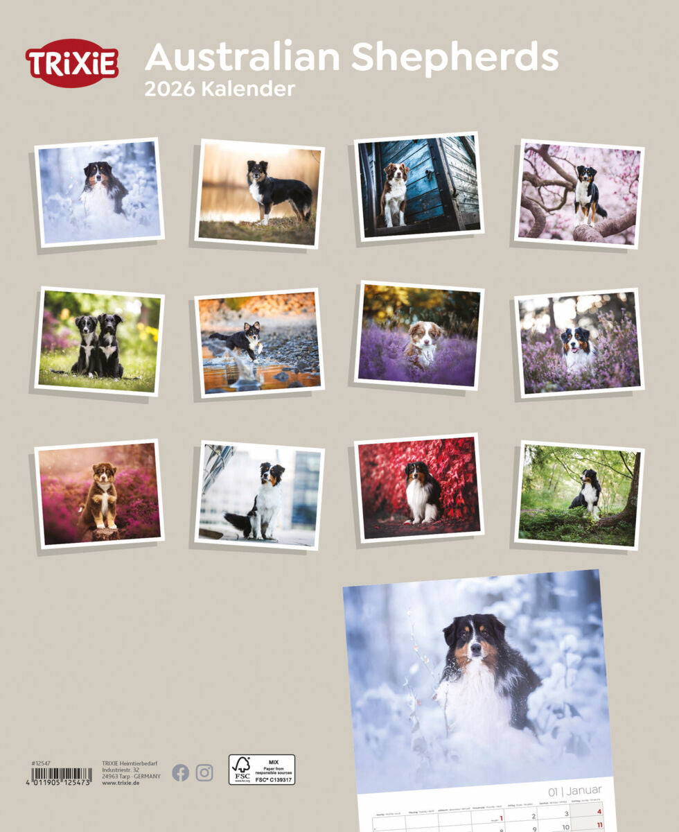 Kalender Australian Shepherd