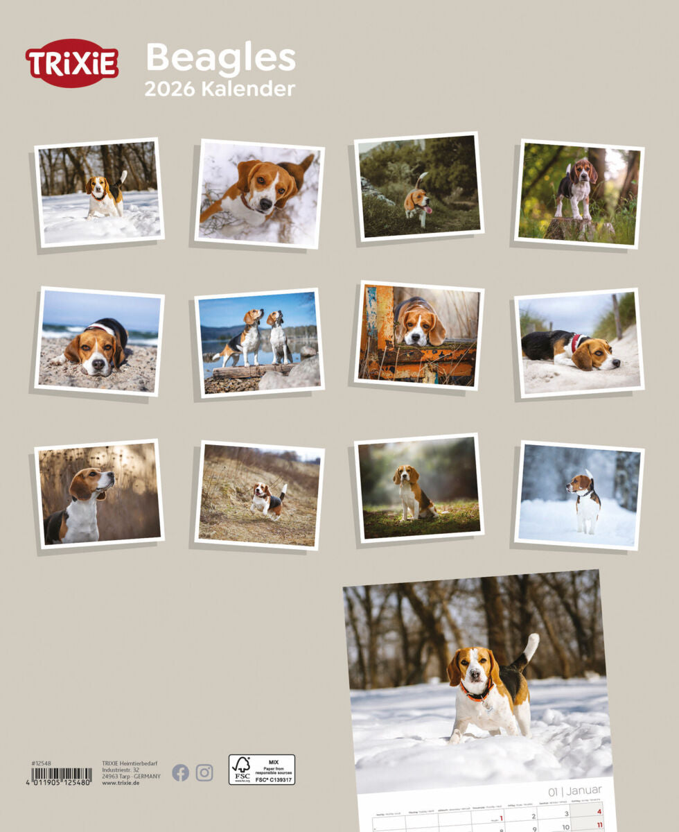 Kalender Beagle