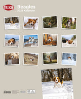 Kalender Beagle