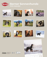 Kalender Berner Sennenhunde