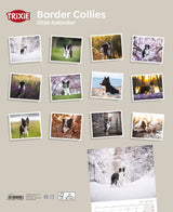 Kalender Border Collies