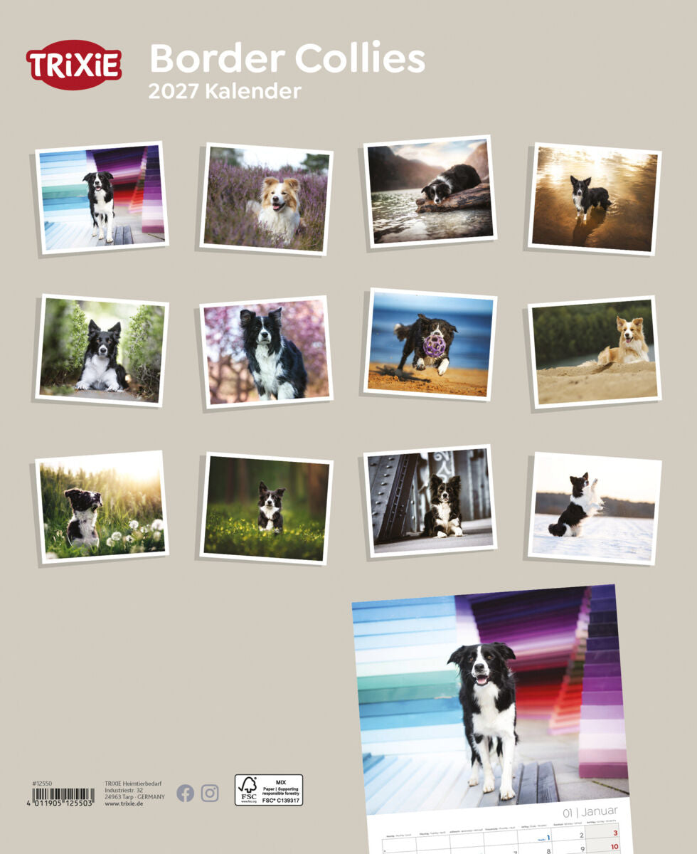 Kalender Border Collies