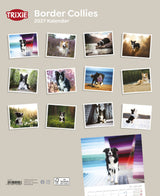 Kalender Border Collies