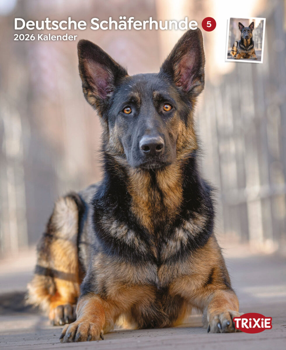 Kalender Deutsche Schäferhunde